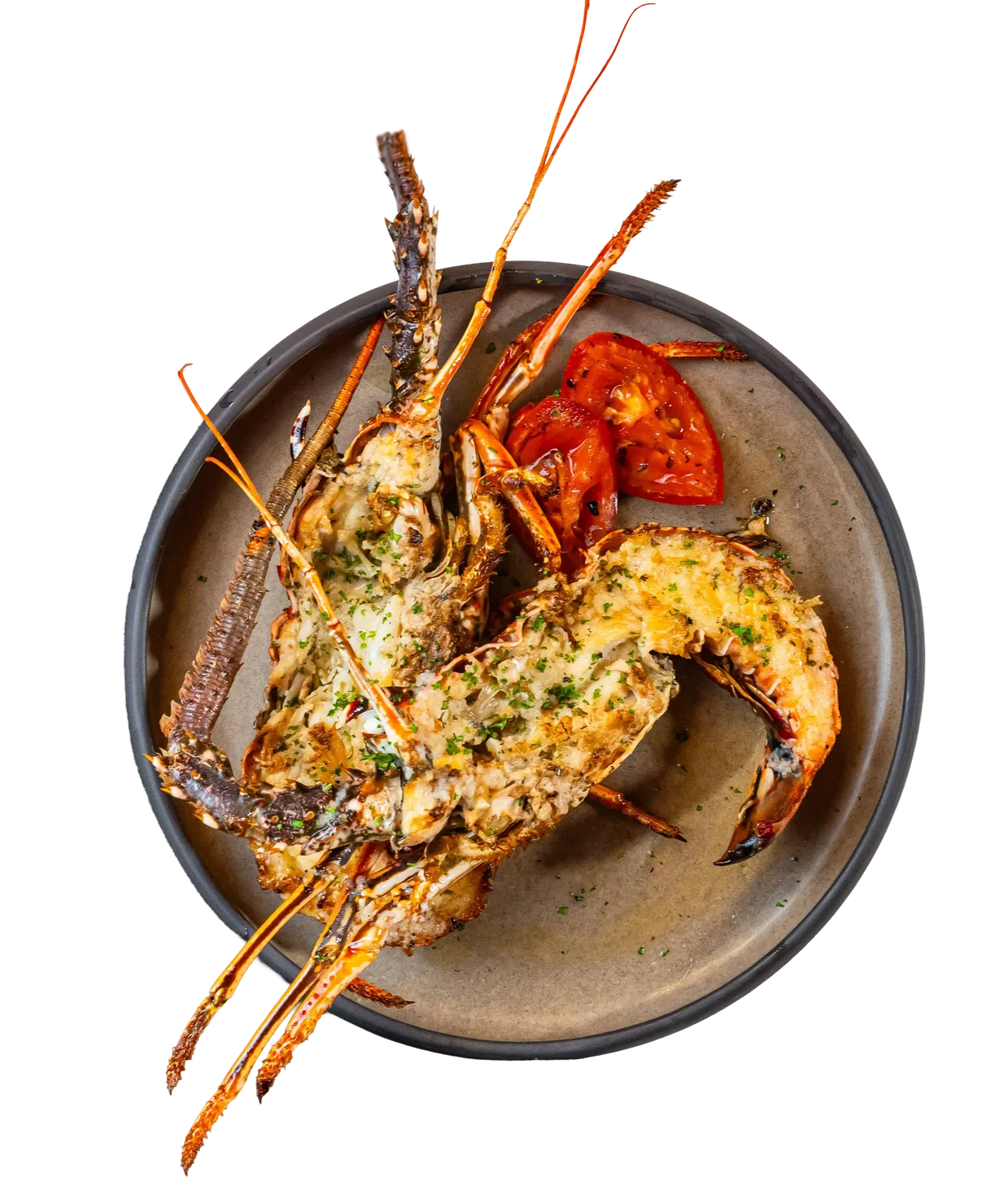 Gratinated lobster with roasted tomatoes